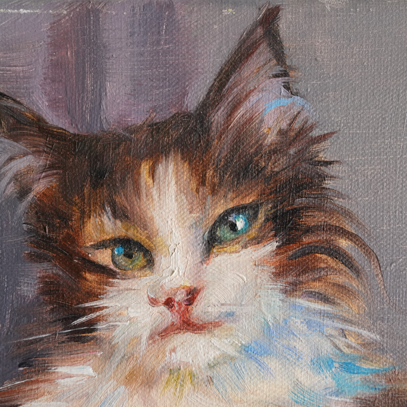 Self-Painted Oil Paintings, Cat Decorative Paintings, Oil Painting Artwork